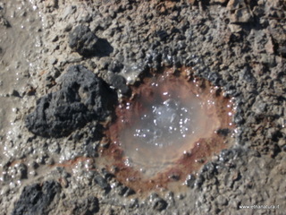 Salinelle del Fiume